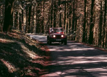 Things to Know Before Getting a Jeep Gladiator