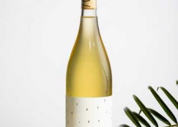 Health 101: 5 Health Benefits of Drinking Rice Wine