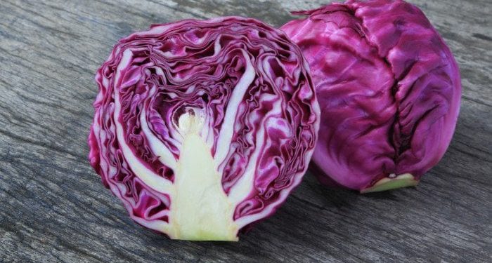 purple cabbage benefits